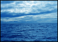 Blue Ocean Strategy!